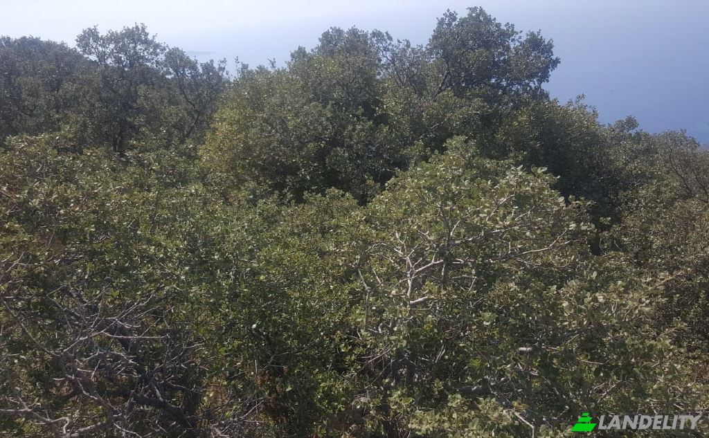 Land/Lot for Sale Kalkan, 07580 Kas Antalya, Kas Antalya, Kas, Antalya, Turkiye. Photo 3