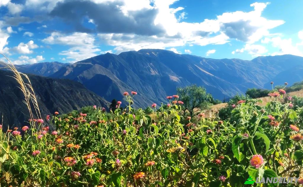Single Family Home for Sale Mollepata 08645, Mollepata, Anta Province, Cusco, Peru. Photo 11