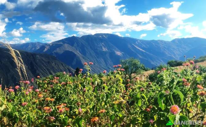 Single Family Home for Sale Mollepata 08645. Photo#11