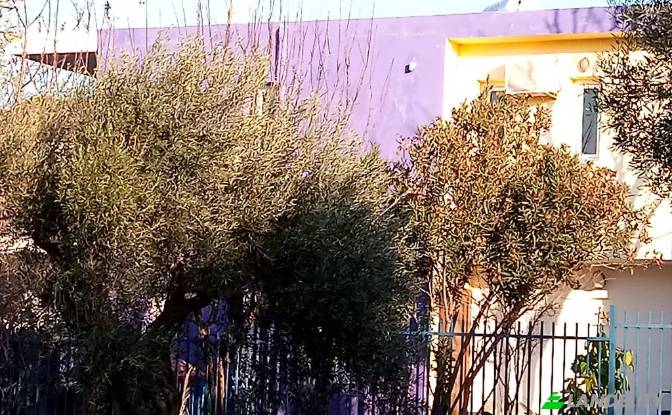 Single Family Home for Sale Idras, Artemis. Photo#3