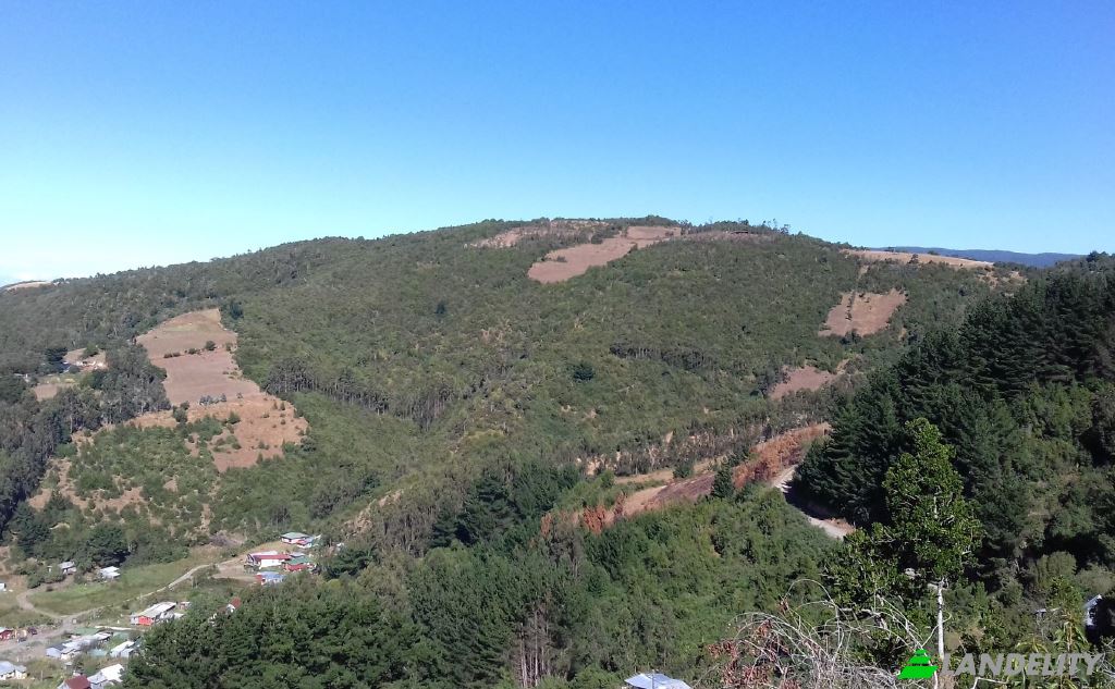 Land/Lot for Sale Missisipi, Valdivia Province, Los Rios, Chile, Mariquina. Photo 3