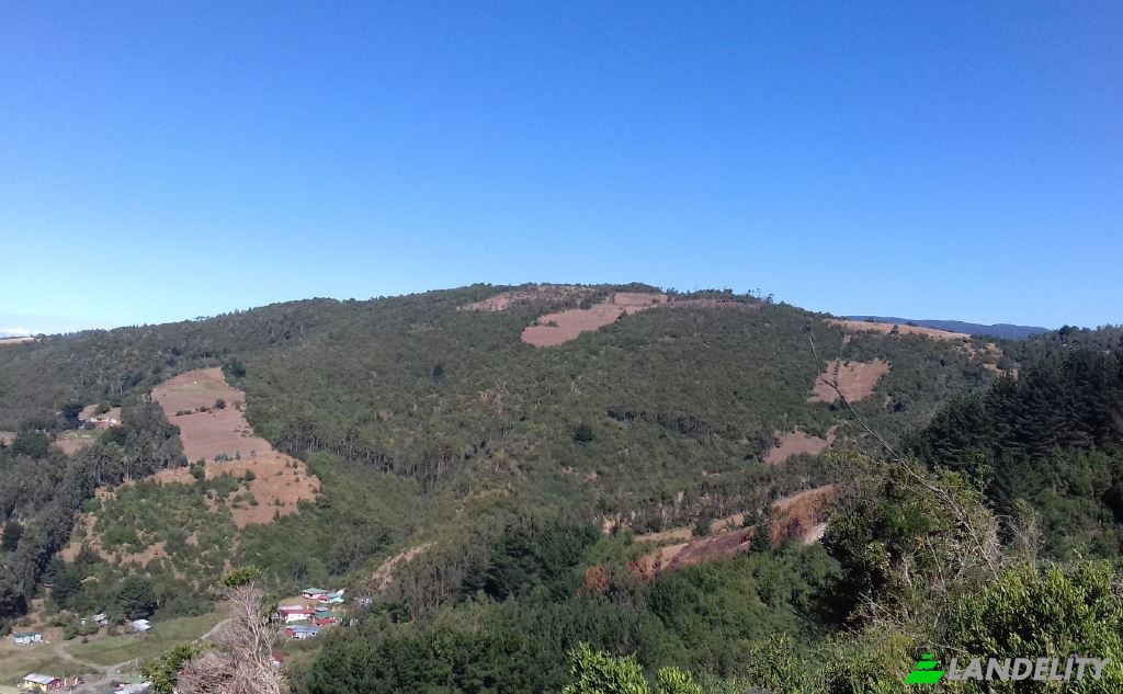 Land/Lot for Sale Missisipi, Valdivia Province, Los Rios, Chile, Mariquina. Photo 8