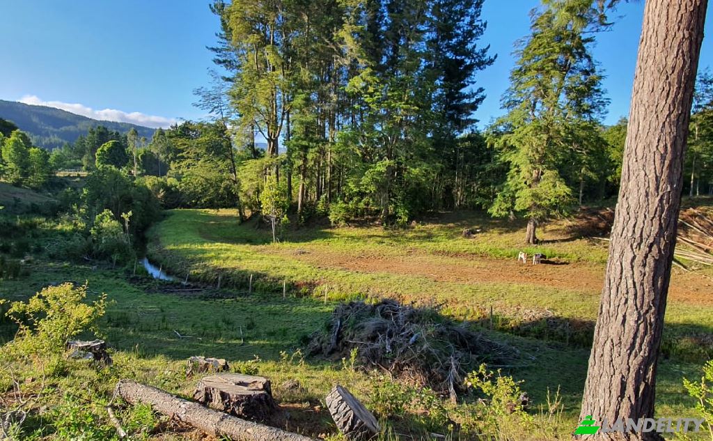 Land/Lot for Sale Via sin nombre, Mariquina, Cuyan, Valdivia Province, Los Rios, Chile. Photo 1