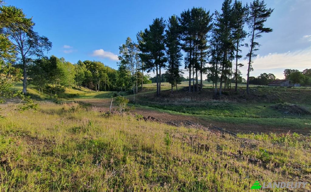 Land/Lot for Sale Via sin nombre, Mariquina, Cuyan, Valdivia Province, Los Rios, Chile. Photo 2