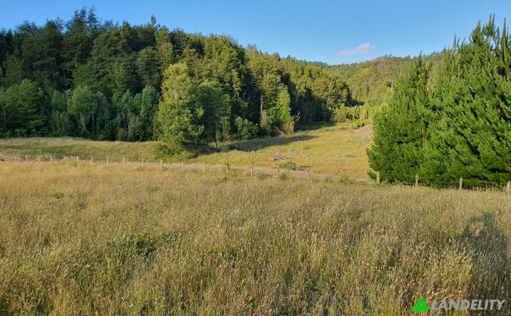 Land/Lot for Sale Via sin nombre, Mariquina, Cuyan, Valdivia Province, Los Rios, Chile. Photo 3