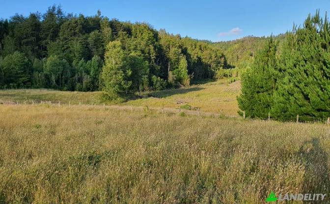 Land/Lot for Sale Via sin nombre, Mariquina, Cuyan. Photo#3 Land/Lot for Sale Via sin nombre, Mariquina, Cuyan. Photo#3