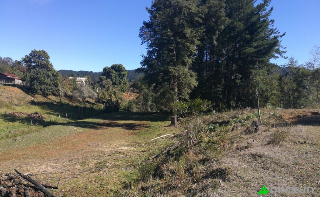 Land/Lot for Sale Via sin nombre, Mariquina, Cuyan, Valdivia Province, Los Rios, Chile. Photo 4