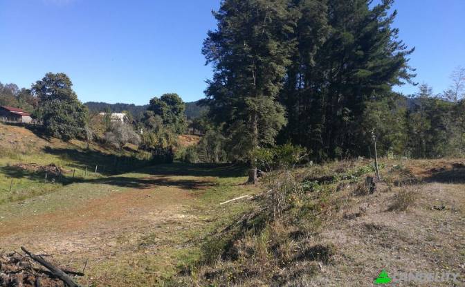 Land/Lot for Sale Via sin nombre, Mariquina, Cuyan. Photo#4 Land/Lot for Sale Via sin nombre, Mariquina, Cuyan. Photo#4