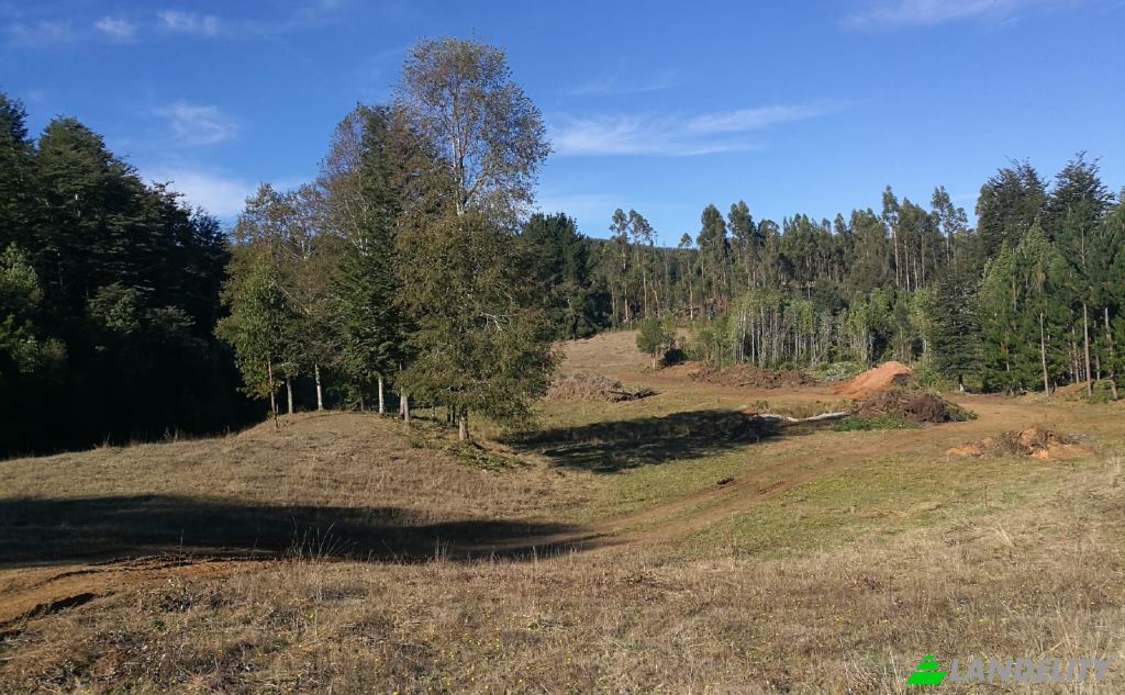 Land/Lot for Sale Via sin nombre, Mariquina, Cuyan, Valdivia Province, Los Rios, Chile. Photo 5