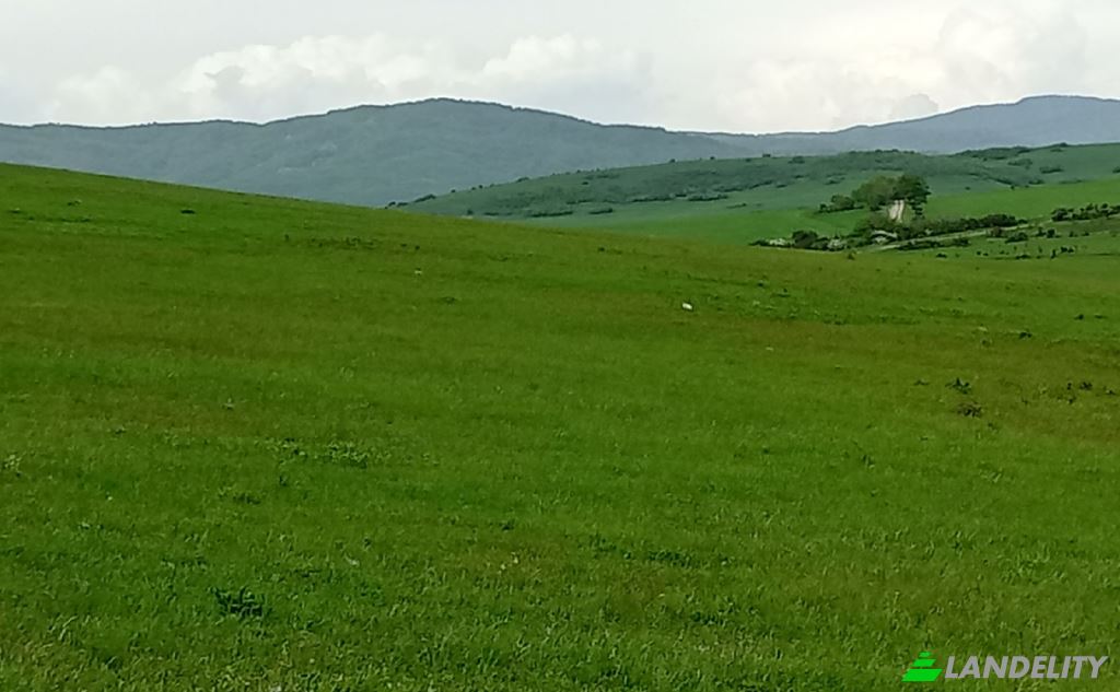 Land/Lot for Sale usaxelo gza, Tbilisi, Tbilisi, Didi digomi, Kvemo Kartli, Georgia. Photo 1