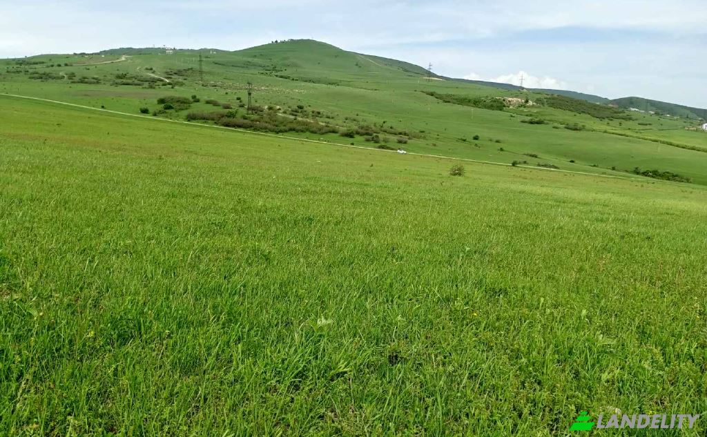 Land/Lot for Sale usaxelo gza, Tbilisi, Tbilisi, Didi digomi, Kvemo Kartli, Georgia. Photo 4