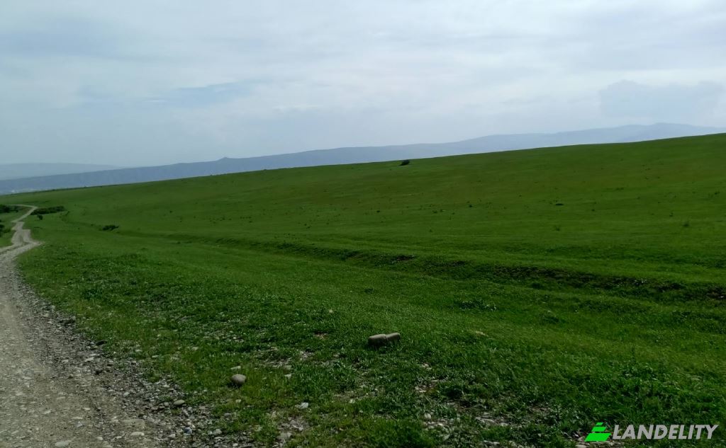 Land/Lot for Sale usaxelo gza, Tbilisi, Tbilisi, Didi digomi, Kvemo Kartli, Georgia. Photo 5