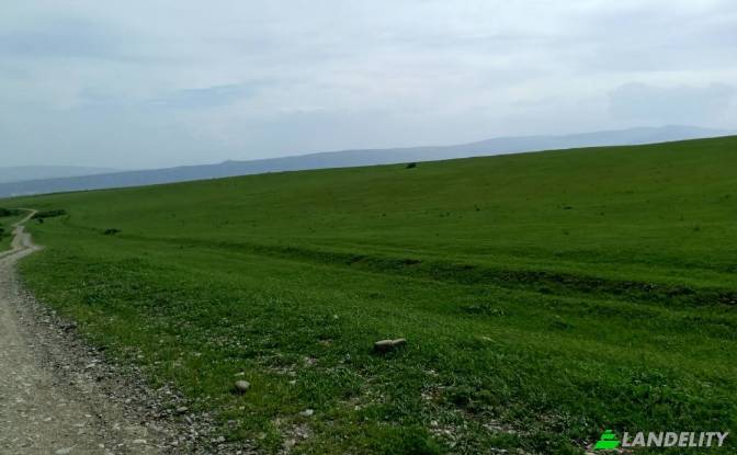 Land/Lot for Sale usaxelo gza, Tbilisi, Tbilisi. Photo#5