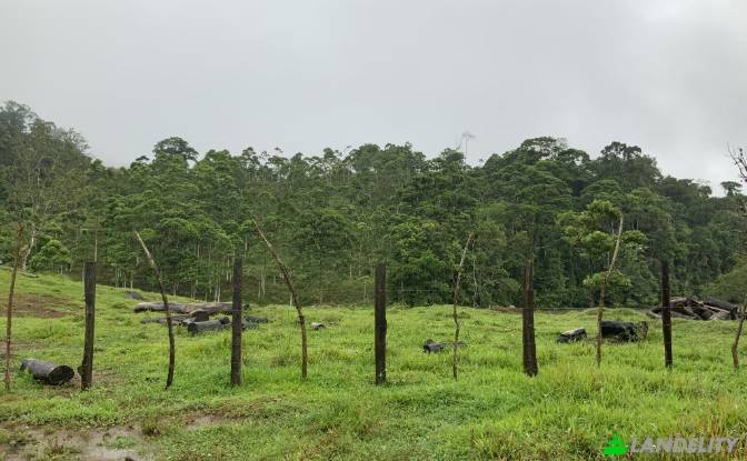 Land for Sale San Luis, Provincia de Alajuela. Photo#3 Land for Sale San Luis, Provincia de Alajuela. Photo#3