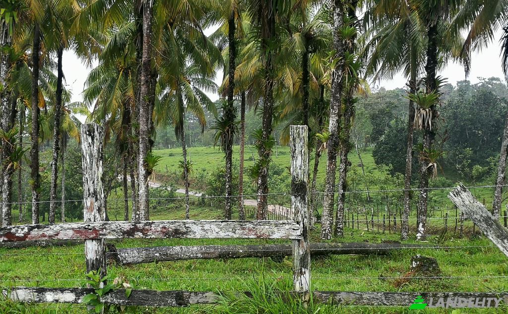 Land/Lot for Sale San Luis, Provincia de Alajuela, Alajuela Province, Costa Rica. Photo 4