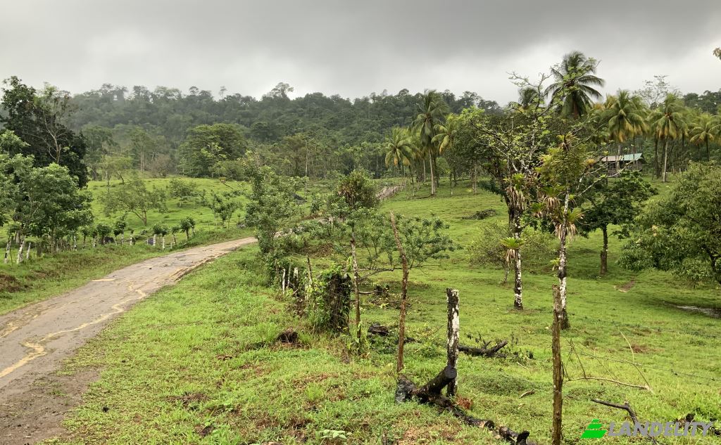 Land/Lot for Sale San Luis, Provincia de Alajuela, Alajuela Province, Costa Rica. Photo 5