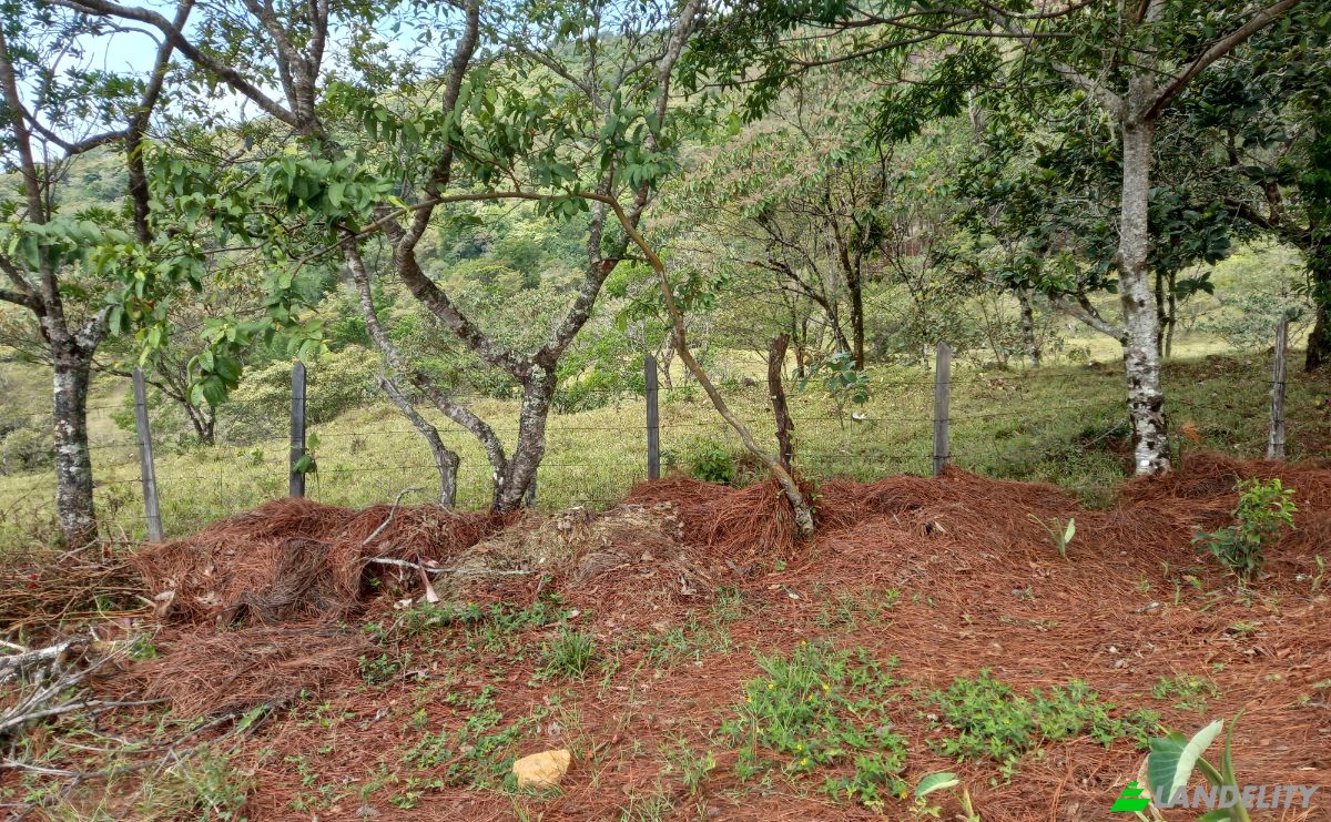 Investimenti/Sviluppo in vendita Desde Alto Boquete a la Estrella 50-65, Alto Boquete, Boquete District, Chiriqui Province, Panama, Provincia de Chiriqui. Foto 1