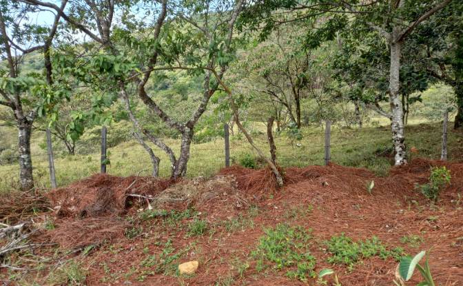 Inversión/Desarrollo en venta - Alto Boquete, Panamá