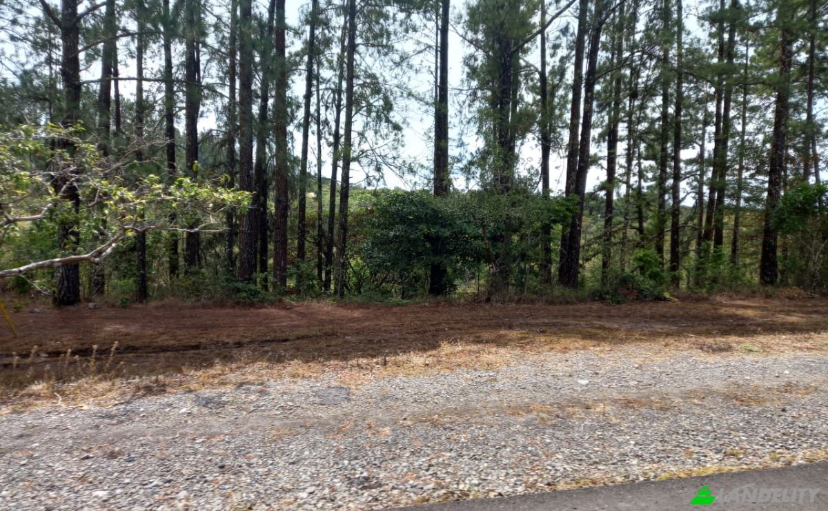 Investimenti/Sviluppo in vendita Desde Alto Boquete a la Estrella 50-65, Alto Boquete, Boquete District, Chiriqui Province, Panama, Provincia de Chiriqui. Foto 4