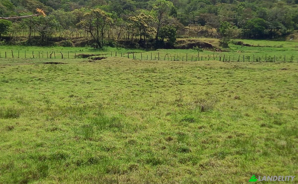 Investimenti/Sviluppo in vendita Desde Alto Boquete a la Estrella 50-65, Alto Boquete, Boquete District, Chiriqui Province, Panama, Provincia de Chiriqui. Foto 6