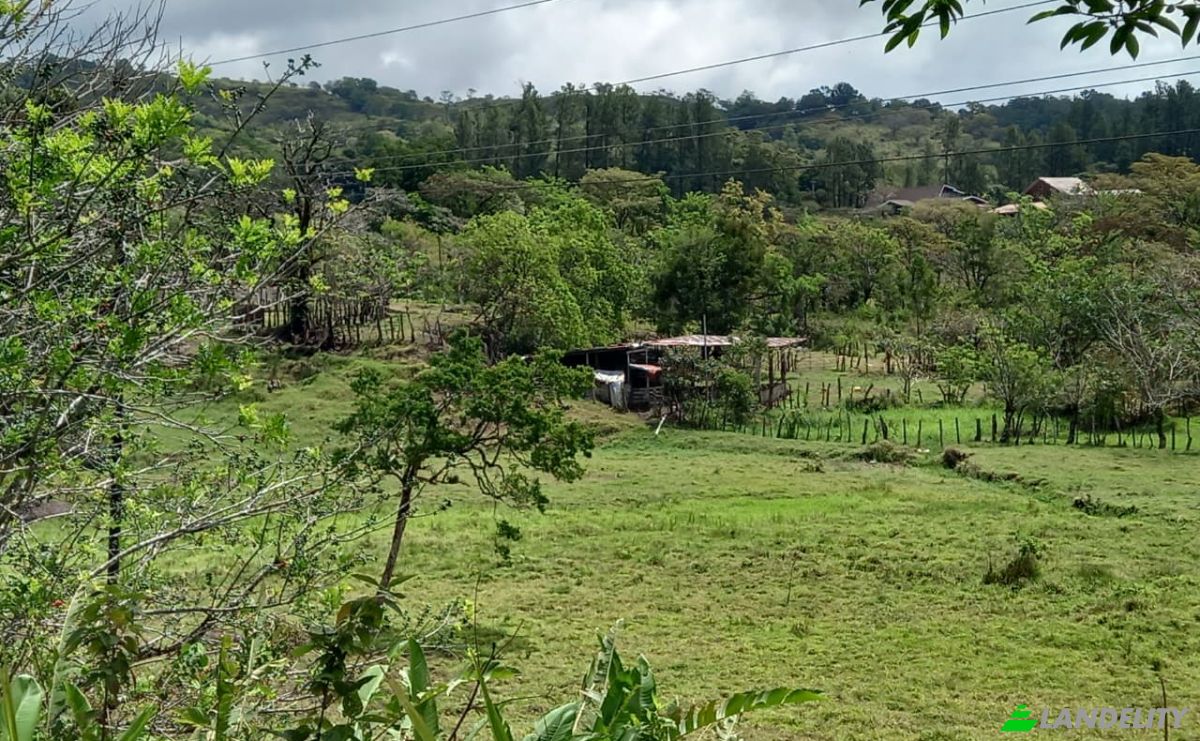 Investimenti/Sviluppo in vendita Desde Alto Boquete a la Estrella 50-65, Alto Boquete, Boquete District, Chiriqui Province, Panama, Provincia de Chiriqui. Foto 7