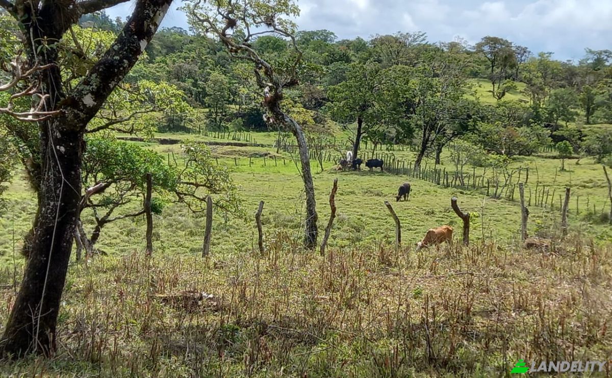 Investimenti/Sviluppo in vendita Desde Alto Boquete a la Estrella 50-65, Alto Boquete, Boquete District, Chiriqui Province, Panama, Provincia de Chiriqui. Foto 8