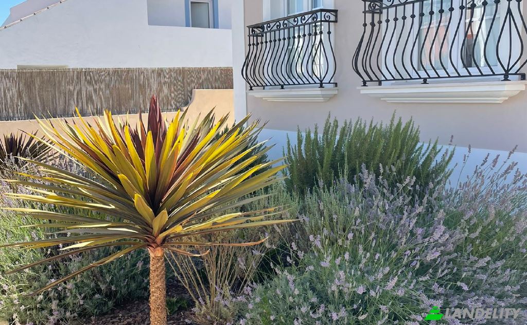 Single Family Home for Sale Antonio Maria, Sines, Setubal, Portugal. Photo 3