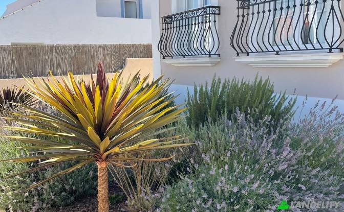 Single Family Home for Sale Antonio Maria, Sines. Photo#3 Single Family Home for Sale Antonio Maria, Sines. Photo#3