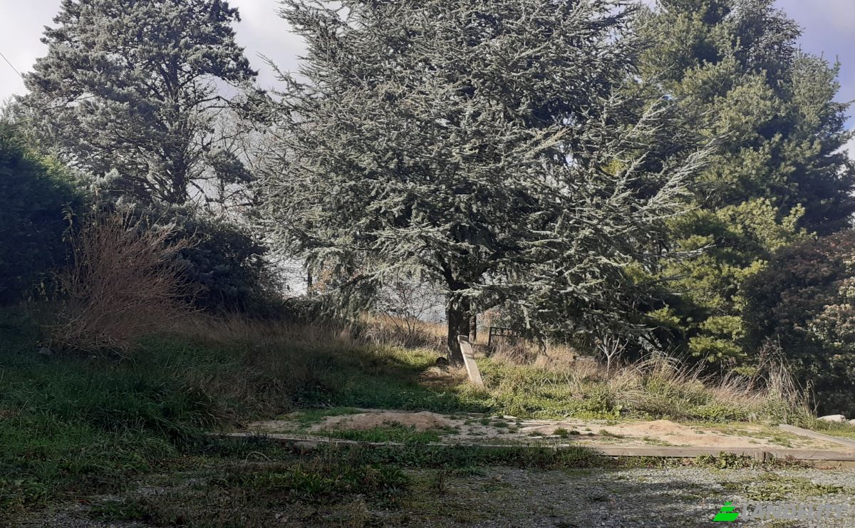 Villa for Sale 6685 Rte de Massals, 81250 Paulinet, Paulinet, Tarn, Occitanie, France. Photo 11