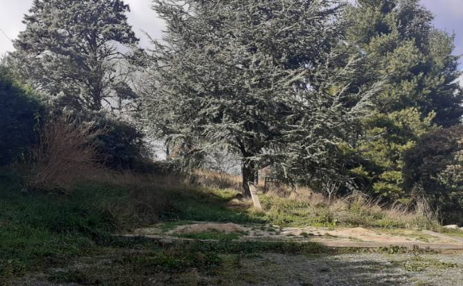 Villa for Sale 6685 Rte de Massals, 81250 Paulinet. Photo#11 Villa for Sale 6685 Rte de Massals, 81250 Paulinet. Photo#11