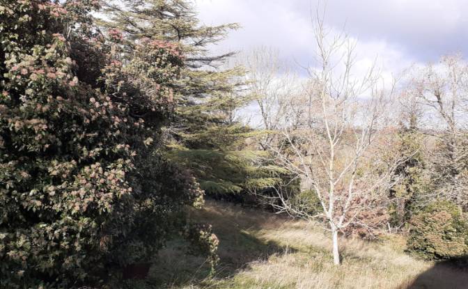 Villa for Sale 6685 Rte de Massals, 81250 Paulinet. Photo#3 Villa for Sale 6685 Rte de Massals, 81250 Paulinet. Photo#3