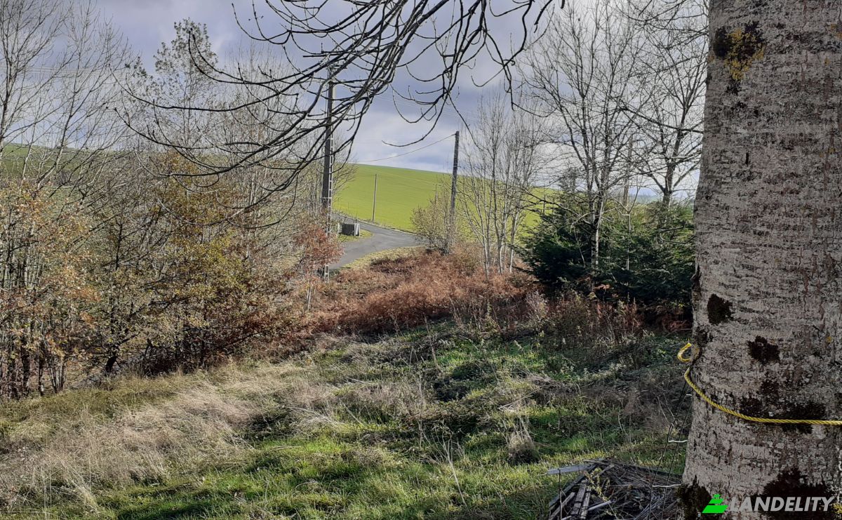 Villa for Sale 6685 Rte de Massals, 81250 Paulinet, Paulinet, Tarn, Occitanie, France. Photo 6