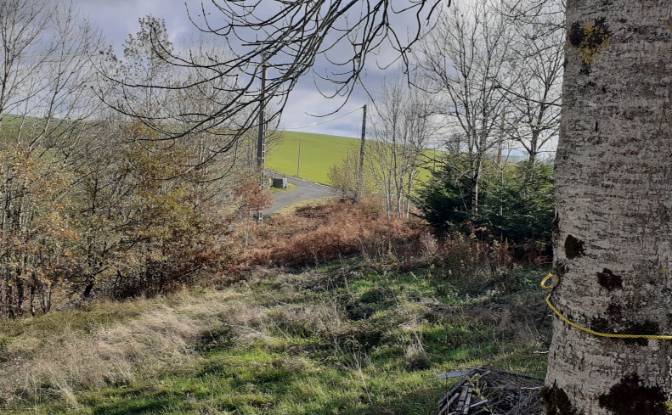 Villa for Sale 6685 Rte de Massals, 81250 Paulinet. Photo#6 Villa for Sale 6685 Rte de Massals, 81250 Paulinet. Photo#6