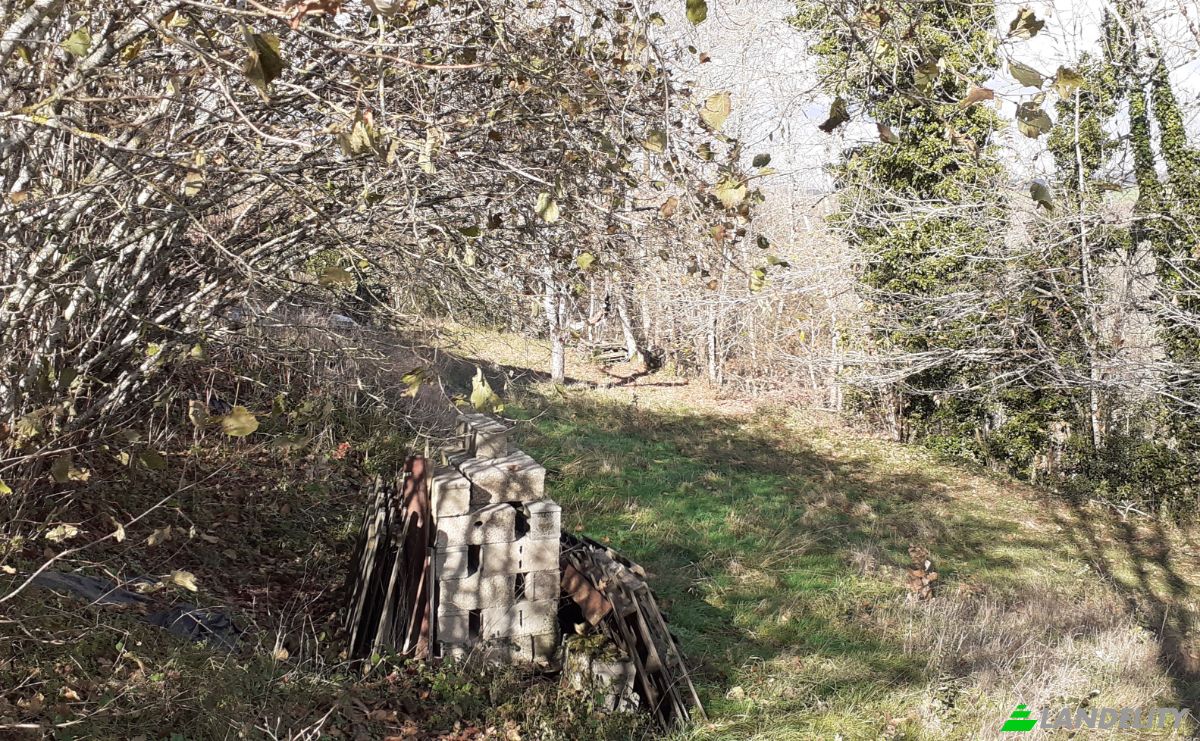 Villa for Sale 6685 Rte de Massals, 81250 Paulinet, Paulinet, Tarn, Occitanie, France. Photo 7