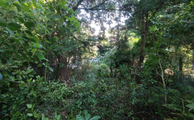 Investing/Development for Sale Lugar Barrio. Photo#16 Investing/Development for Sale Lugar Barrio. Photo#16