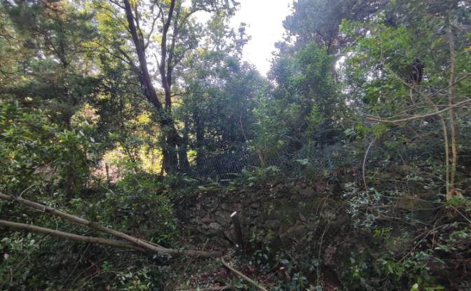 Investing/Development for Sale Lugar Barrio. Photo#17 Investing/Development for Sale Lugar Barrio. Photo#17