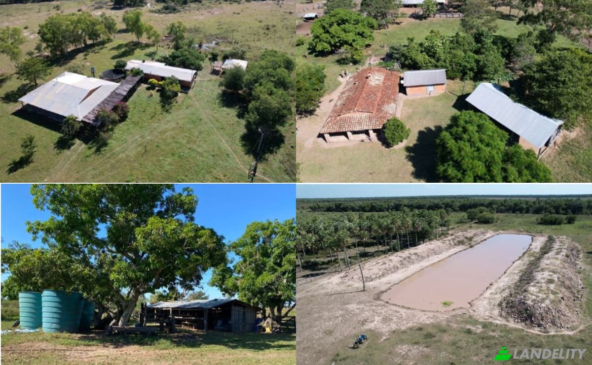 Farm/Ranch for Sale 150602 zona de Ninfa, zona de Ninfa, Jose Falcon, Presidente Hayes Department, Paraguay. Photo 2