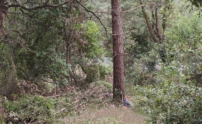 Investing/Development for Sale Lugar Barrio. Photo#3 Investing/Development for Sale Lugar Barrio. Photo#3