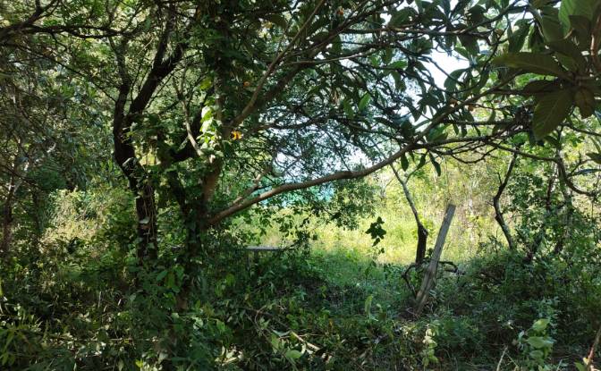Investing/Development for Sale Lugar Barrio. Photo#19 Investing/Development for Sale Lugar Barrio. Photo#19