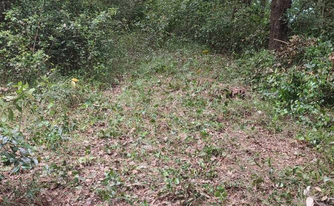 Investing/Development for Sale Lugar Barrio. Photo#2 Investing/Development for Sale Lugar Barrio. Photo#2