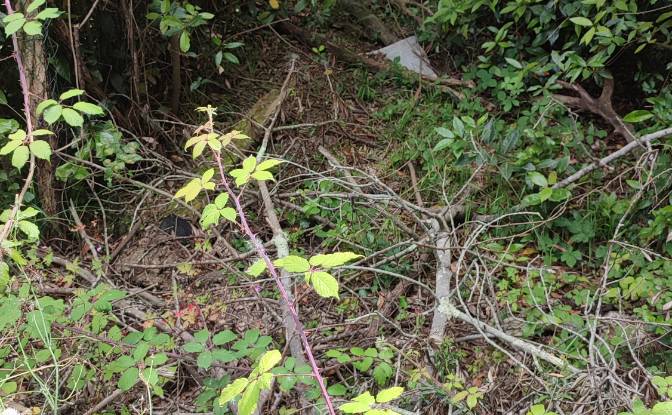 Investing/Development for Sale Lugar Barrio. Photo#7 Investing/Development for Sale Lugar Barrio. Photo#7
