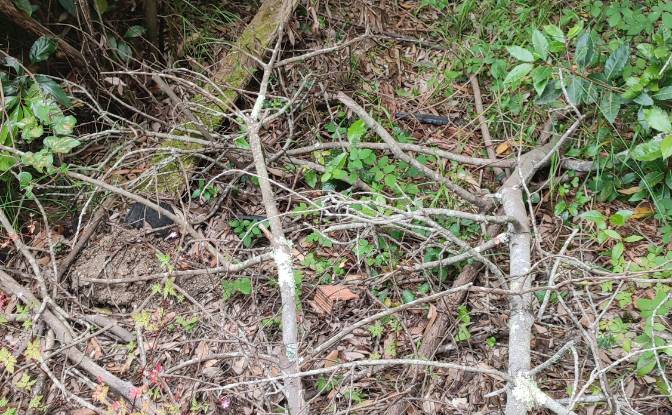 Investing/Development for Sale Lugar Barrio. Photo#8 Investing/Development for Sale Lugar Barrio. Photo#8