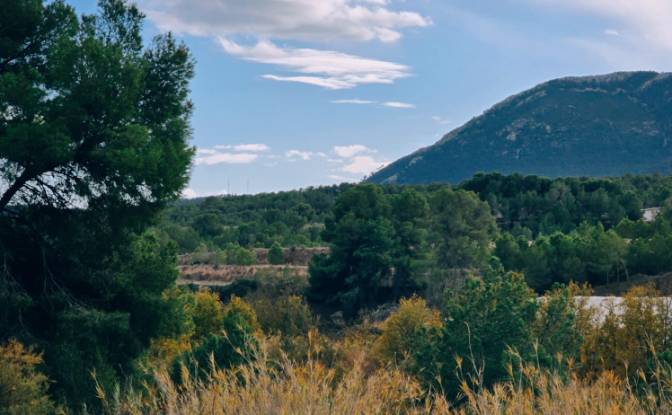 Lot de terrain à vendre - Urbanitzacio Terol, Spain