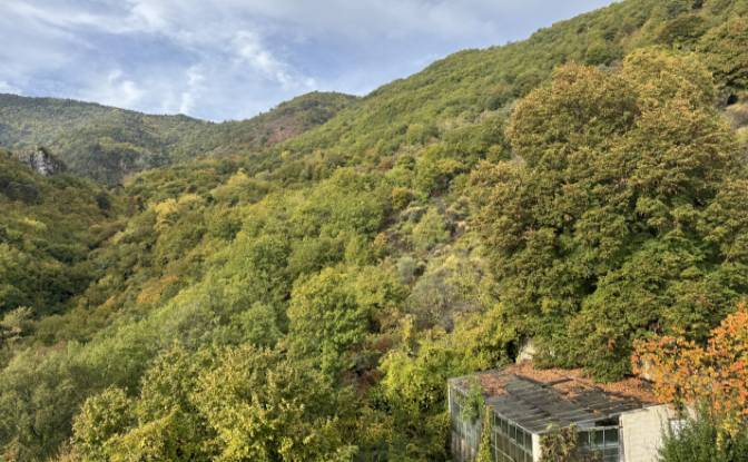 Mansion for Sale Saint-Jean O, 06380 Sospel. Photo#10 Mansion for Sale Saint-Jean O, 06380 Sospel. Photo#10