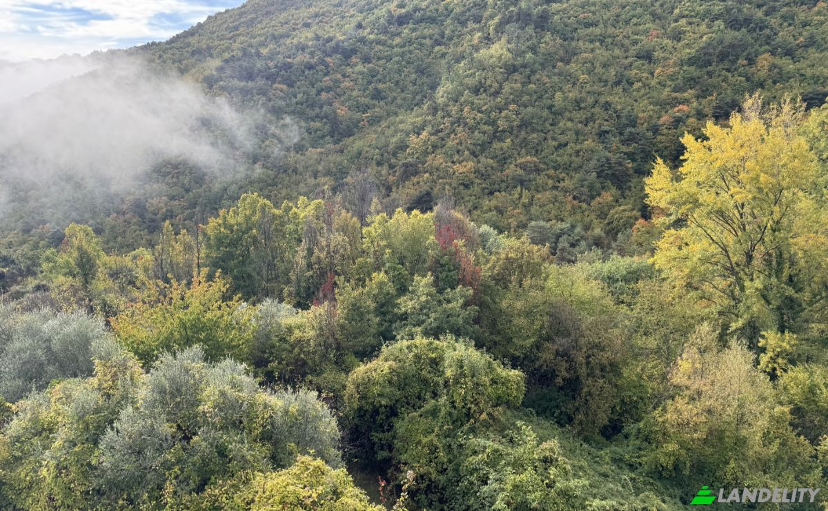 Mansion for Sale Saint-Jean O, 06380 Sospel, Sospel, Alpes-Maritimes, Provence-Alpes-Cote dAzur, France. Photo 9