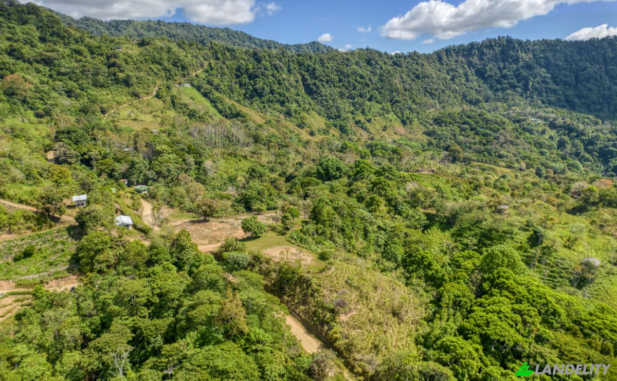Land Lot for Sale Via Sin Nombre, San Jose, San Jose Province, Perez Zeledon, Costa Rica. Photo 3