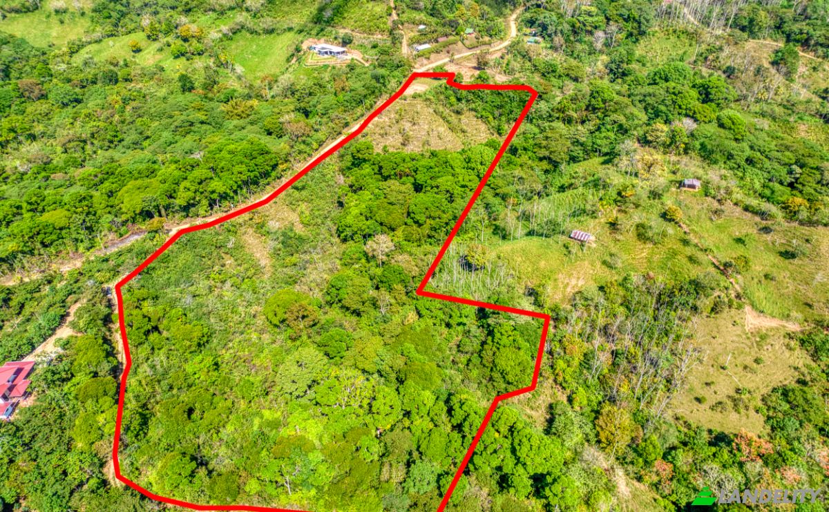 Land Lot for Sale Via Sin Nombre, San Jose, San Jose Province, Perez Zeledon, Costa Rica. Photo 6