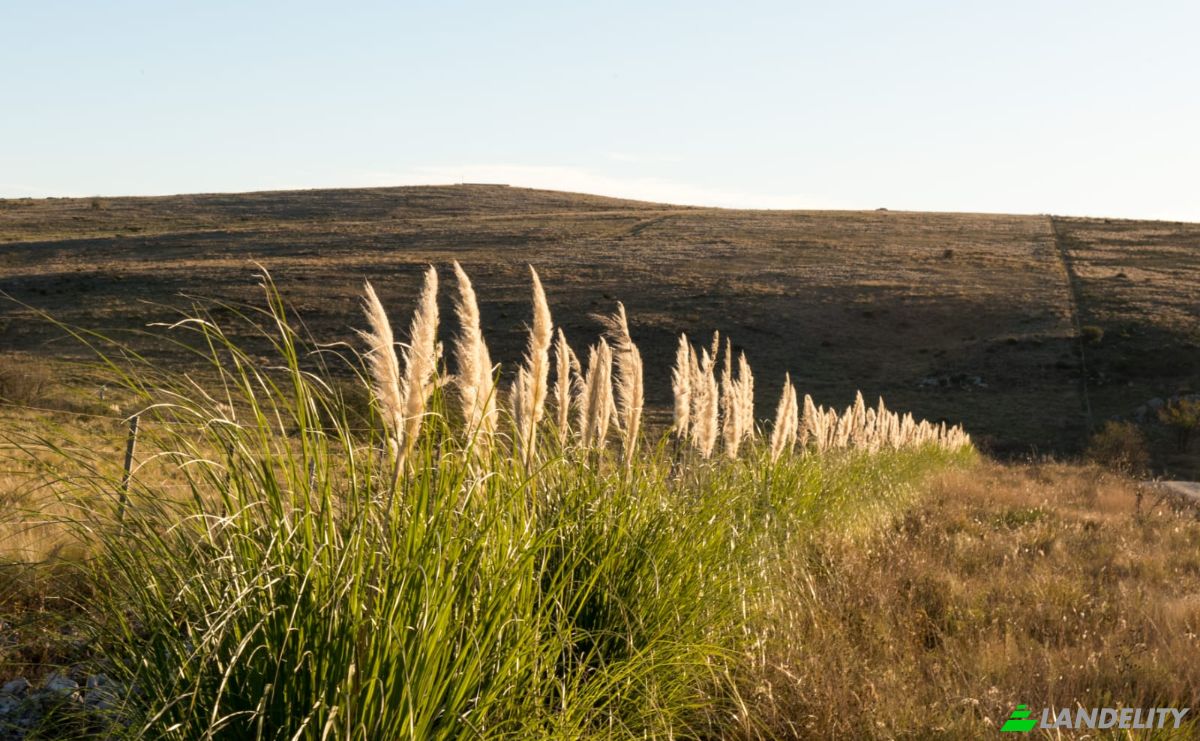 Single Family Home for Sale Via Sin Nombre, La Cumbre, Punilla Department, Cordoba Province, Argentina, Cordoba. Photo 5