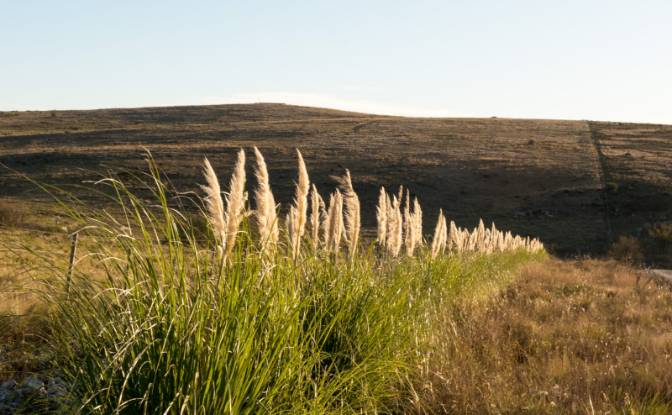 Single Family Home for Sale Via Sin Nombre. Photo#5 Single Family Home for Sale Via Sin Nombre. Photo#5