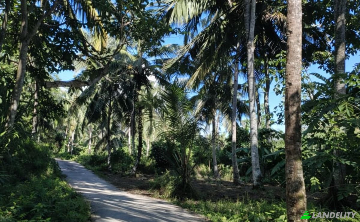 Land Lot for Sale Sipora Jaya, Mentawai Islands Regency, West Sumatra, Indonesia, North Sipora, West Sumatra 25932. Photo 2